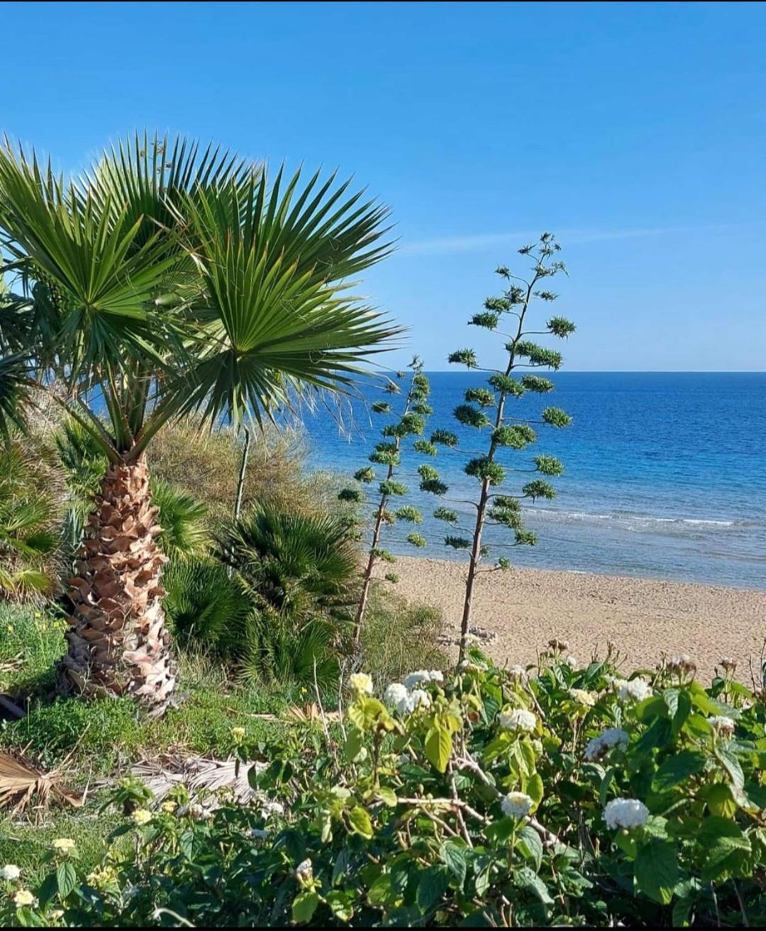 Villa Sul Mare Don Toto' Avola Exterior foto